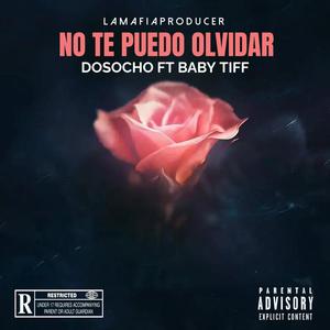 No Te Puedo Olvidad (feat. Baby Tiff) [Explicit]