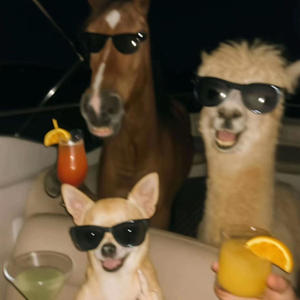 Party Animalz (Explicit)