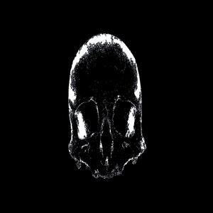 Criminal (Allegro Mix)