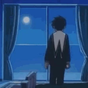 Do Trees Pay Property Tax?