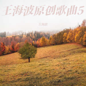 你走以后封面