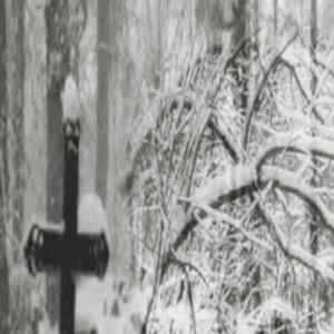 lexus (feat. skulls) (Explicit)