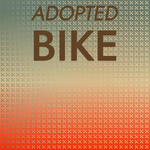 Adopted Bike