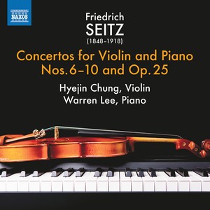 Violin Concerto No. 6 in G Major, Op. 31 - I. Allegro moderato