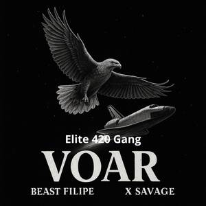 Voar