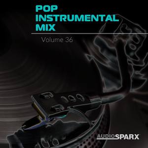Pop Instrumental Mix Volume 36