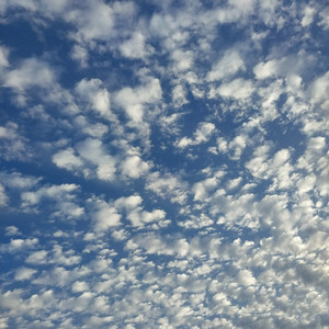 Tiempo, Tiempos y Medio Tiempo