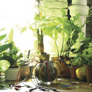 Building Blocks for the New Golden Age