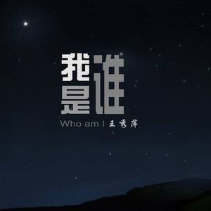 我是谁-王秀萍