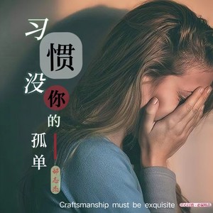 习惯没你的孤单