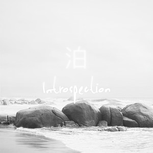 泊 (Introspection)