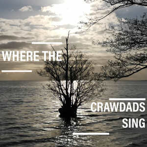 Where the Crawdads Sing (Carolina Nights)