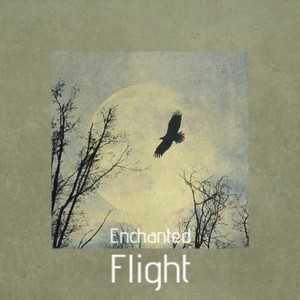 Enchanted Flight