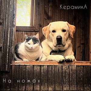 На ножах