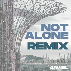 Not Alone (feat. Benjamin Kheng, Evan Low & NDPeeps)