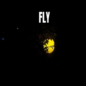 Fly