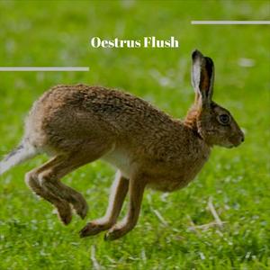 Oestrus Flush