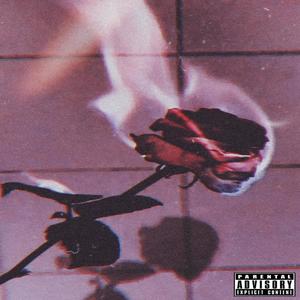 Paradox w/CallinCardo