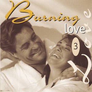 Burning Love, Vol. 3