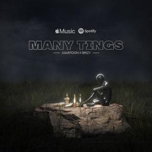 Many Tings (feat. Brizy) (Explicit)
