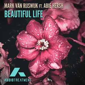 Beautiful Life (Original Mix)