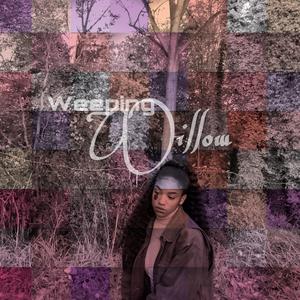 Weeping Willow (Explicit)