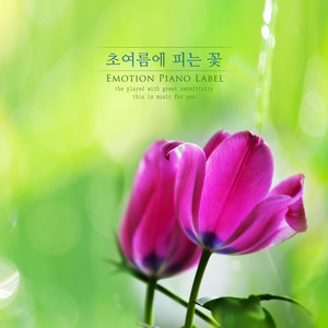 초여름에 피는 꽃 (Flowers blooming in early summer)