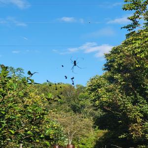 inner mind pt2 (feat. cw!zz) (Explicit)