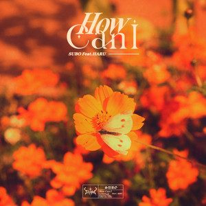 How Can I (feat. HARU)