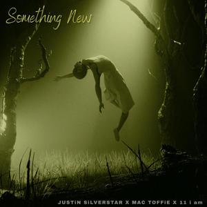 Something New (feat. Mac Toffie & 11 i am)