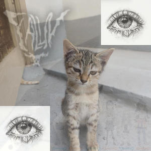 fault (richmxnkey) (Explicit)