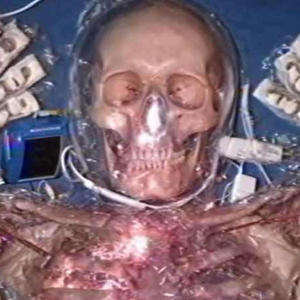 Can't Stomach (feat. xojordo & xersacii) (Explicit)