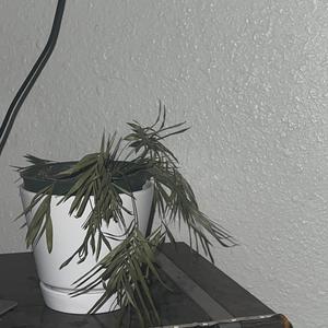 a broken heart and mind (Explicit)