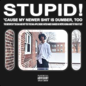 STUPID! (Explicit)