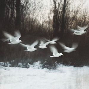 R.1n - 人总是会爱上反季节的东西