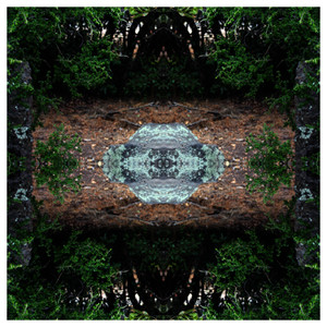 Miel (En Vivo en Eagle's Nest)