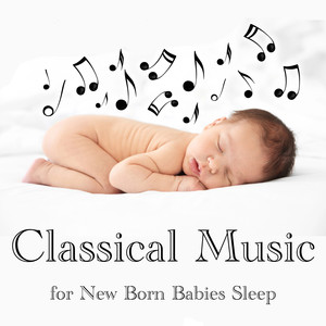 Piano Concerto No. 6 in B-Flat Major, K.238: III. Rondeau - Allegro