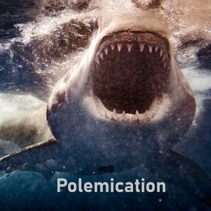 Polemication