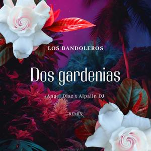 DOS GARDENIAS (feat. Angel Diaz & alpaiin dj|Special Version)