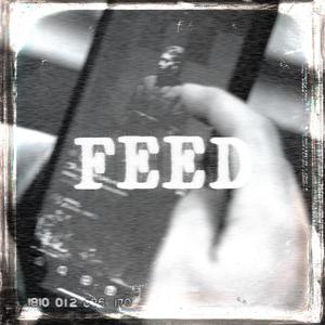 FEED (Explicit)