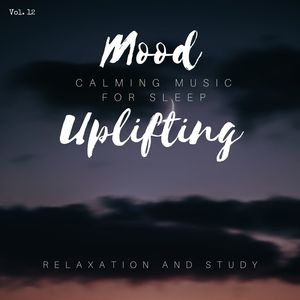 Mood Uplifting - Calming Music For Sleep, Relaxation And Study, Vol. 12