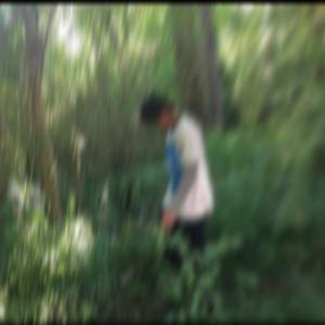 lovely lands (Explicit)