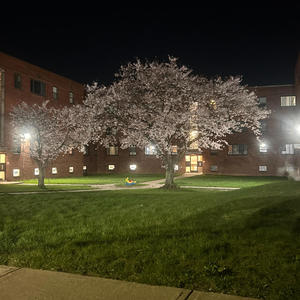 Begun (feat. CallMeTray) (Explicit)