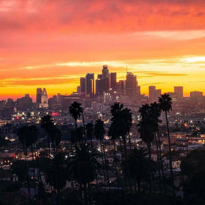 Hollywood Hills (Explicit)