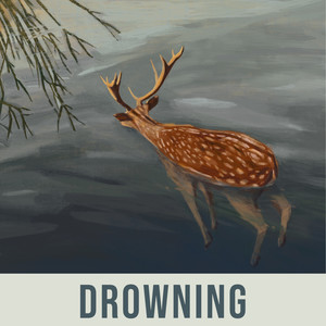 Drowning