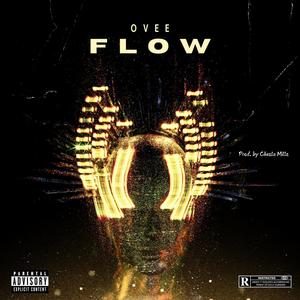 Flow (Explicit)