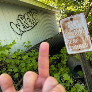 Shegottago (feat. Babytayn) (Explicit)