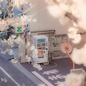 september調子はどうだい