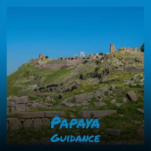 Papaya Guidance