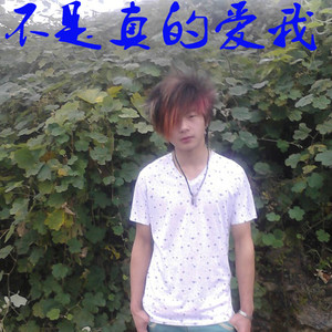 不是真的爱我